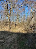 IMG-20240307-WA0075.jpg