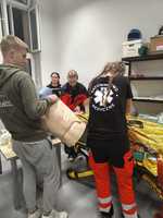 IMG-20250417-WA0003.jpg