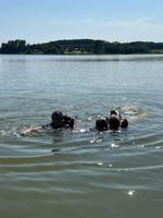 IMG-20250616-WA0059.jpg