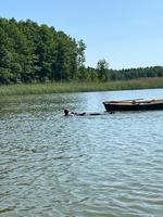 IMG-20250616-WA0075.jpg