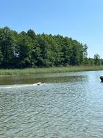 IMG-20250616-WA0077.jpg
