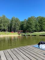 IMG-20250616-WA0074.jpg